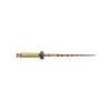 Maillefer Protaper Gold