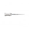 Dentsply Maillefer Protaper Universal