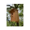 Fából készült madárház barna