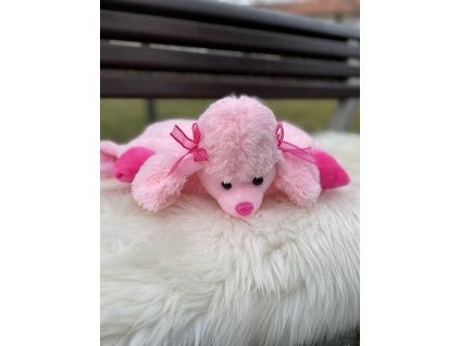 A54C13F5 3FE5 42A6 8584 F9E9BB85F743