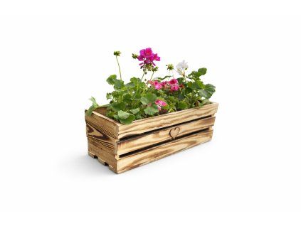 EB39C51C 8797 458D 998F 1CDCCDDD713B