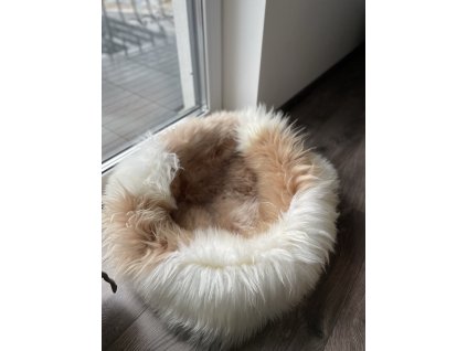 76B83987 3B8C 4356 A924 46F108264FE2