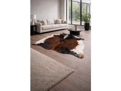 85B1D8EF 4805 4B75 90B9 184EDB38EC6B