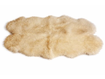 9E21A9DD 08DF 4186 A490 DF5B9D77C9F3