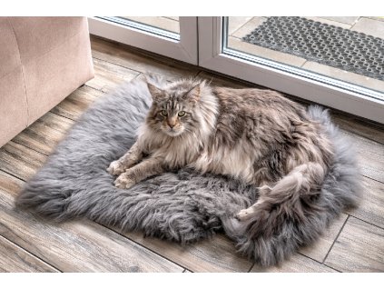 2FFC4B1B 2803 4168 ACE0 7F7AB4AFEC2B