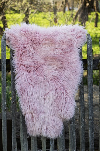E-shop Ovčia kožušina ružová Kožušina: M- 110x65 cm