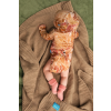 body niemowlece z welny merino ginger gorpcore 4 1