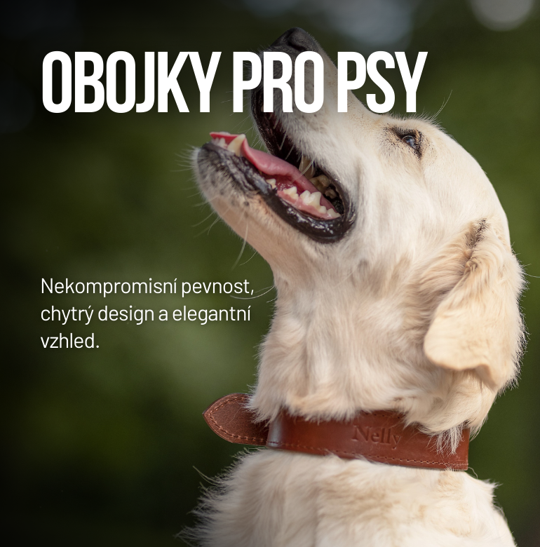 obojky pro psy