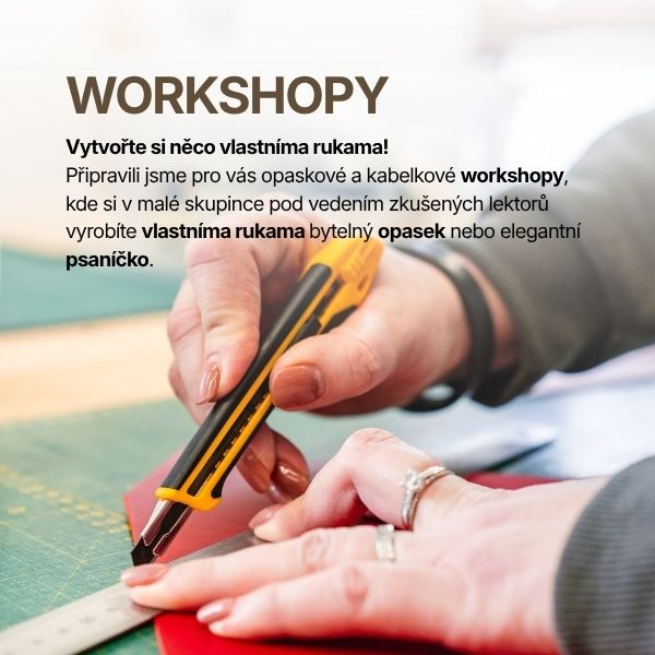 Workshopy mobil