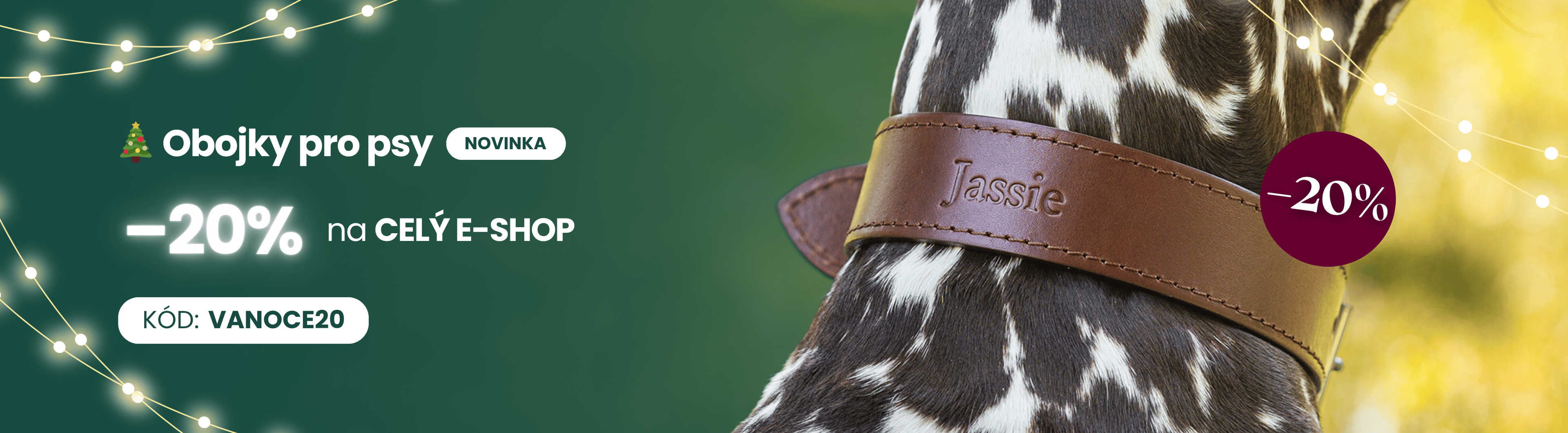 obojky pro psy