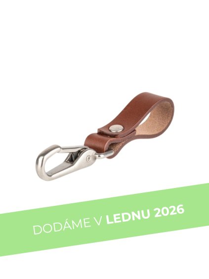 Fotky na web 34 VYŘAZENO 2026(11)