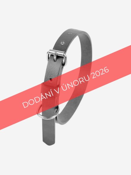 Fotky na web 34 VYŘAZENO 2026(1)