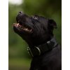 Ajax Obojek pro velkého psa černý