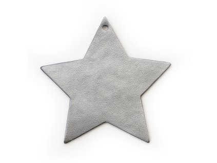 619 1216 29 nappa cosmo christmas star