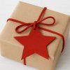 619 1216 31 nappa red christmas star
