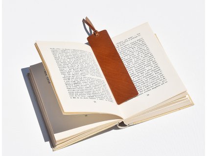 2896braun