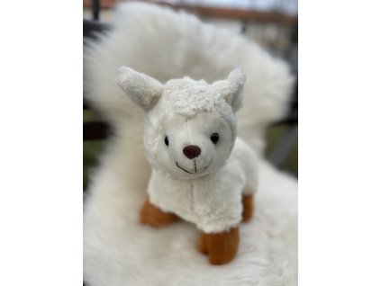 E12A41D4 E0DC 4903 A034 6AF534E9DF53