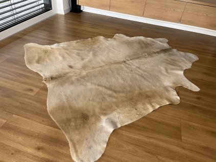 Kůže z argentinské krávy béžová