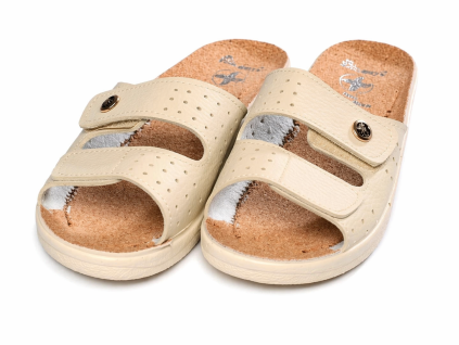 B2D0C566 E748 455C 9386 2AA779DB2F6D