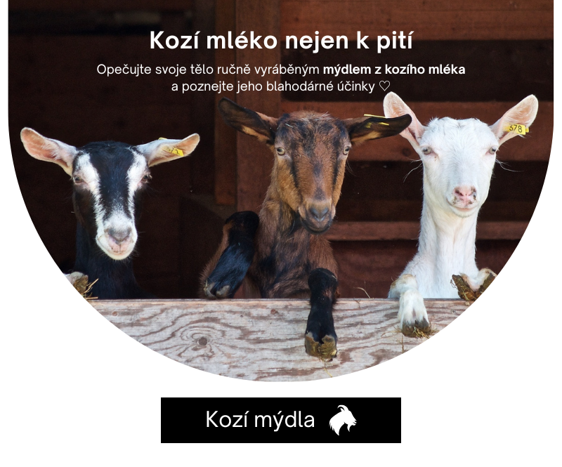 Kozí mýdla - Mléko nejen k pití