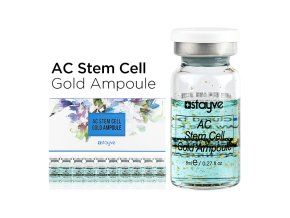 AC stem cell