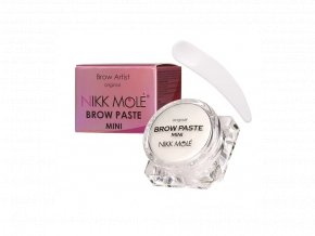 brow paste mini 10 g+ box