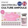 Stayve Aqua Stem Cell ampoule