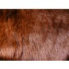 Umelá kožušina, ryšavo hnedá, 25 mm vlas