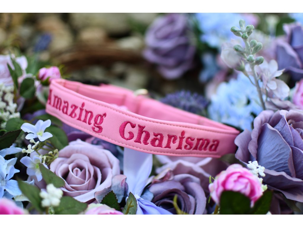 Obojek se jménem - 3cm - Více barev