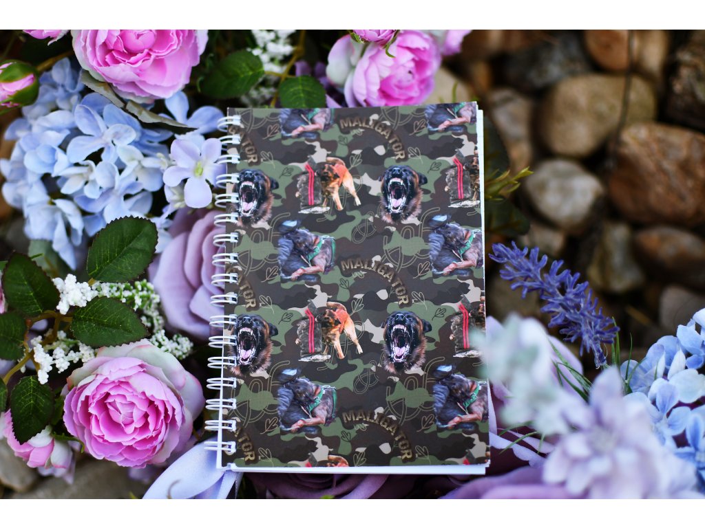 Sešit s potiskem - linkovaný -  BOM