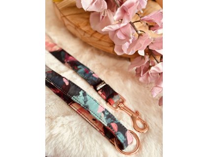 462542787 9007685385960285 1240100996697470900 n