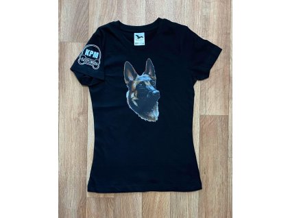 480070503 1083753020433585 1387177566723921484 n