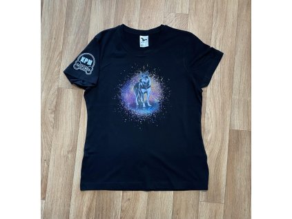 441729262 881296520679237 2748342626858499096 n