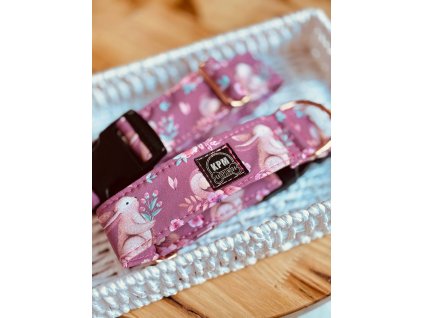 9c43ff7d 868b 4eb6 921b c8aeb7f59021