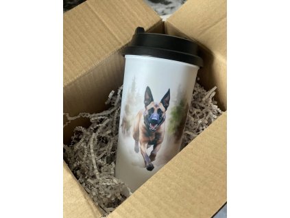 488191113 1124035799738640 7618673544753129326 n