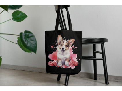 487733641 1123711219771098 6038861663229063039 n