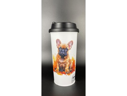 487972477 1121955043280049 5844905297678845806 n