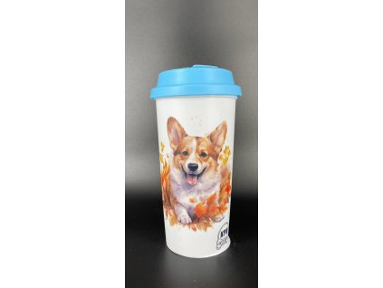 487563079 1121955366613350 6737838304785138775 n