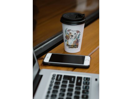 490271192 1134561078686112 6485403229447441158 n