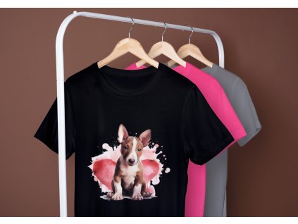 487540026 1123708509771369 3152091945326174254 n