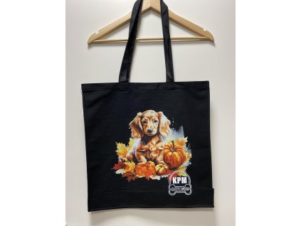 486599672 1118602666948620 7467139038480642851 n