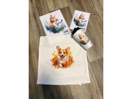 490348273 1138113634997523 3171622431587043124 n