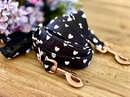 8781b627 1b74 4ddd b83c ebed00dbd4ac