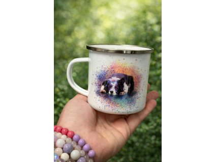 50c1ac57 db65 469a be72 4828c6fe0ffd