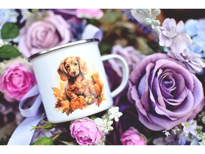 Plecháček -  Jezevčík