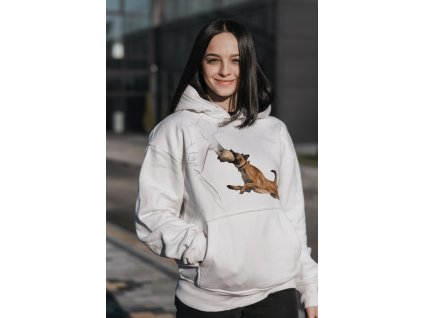 484305947 1106545501487670 1640277330047705252 n