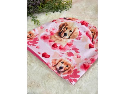 476151726 1076706794471541 6153587865656592789 n