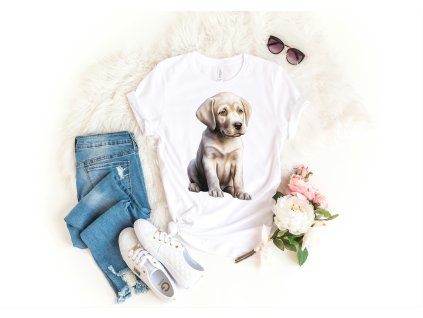 DZPky5CVss 2025 09 26T151310.332