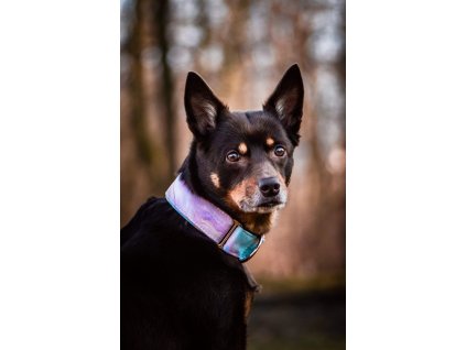 603843829 1351679173640967 4955460688039842119 n