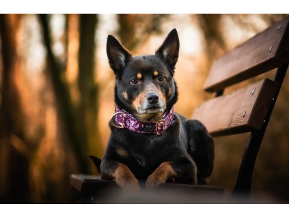 605061339 1351679143640970 9092660945124214870 n